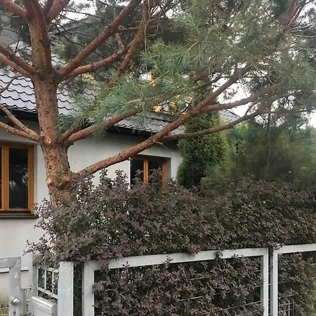Dom Z Ogrodem Blisko Centrum * 포즈난